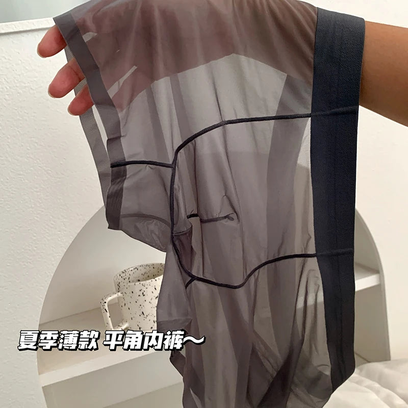 Ice Silk Men's Panties Quick Drying Ultra-thin Boxer Shorts Mid-rise Transparent Boxers Underwear U Bulge Pouch Sexy Underpants