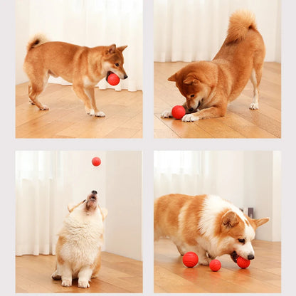 MADDEN S-XL Sizes Solid Rubber Balls Bouncy Ball Bite Resistant Indestructible Dog Training Interactive Ball Pet Toy Molar Ball