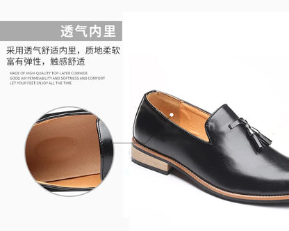 Luxury Mens Leather Shoes Office Men Formal Oxfords Pointed Oxford Wedding Leather Men Dress Shoes Fringed Loafers Social Shoesc