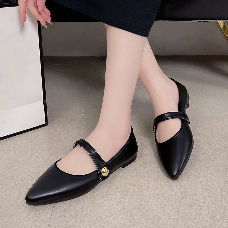 Women's Pointed Toe Flat Shoes With Velvet Matte Finish Single Shoes Women Comfort Loafers Shoes Leather Mary Jane Shoes