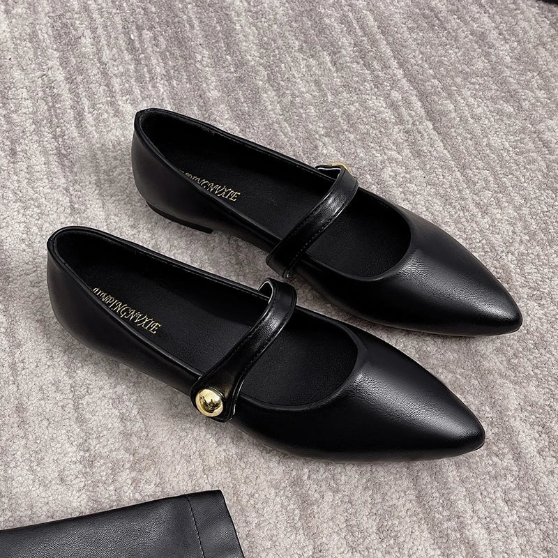 Women's Pointed Toe Flat Shoes With Velvet Matte Finish Single Shoes Women Comfort Loafers Shoes Leather Mary Jane Shoes