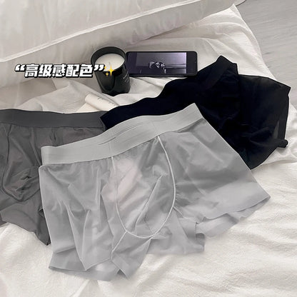 Ice Silk Men's Panties Quick Drying Ultra-thin Boxer Shorts Mid-rise Transparent Boxers Underwear U Bulge Pouch Sexy Underpants