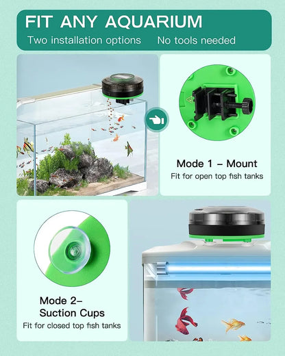 Automatic Fish Feeder for Aquarium Automatic Food Dispenser with Timer Rechargeable Timer Feeder with USB Cable LCD Display