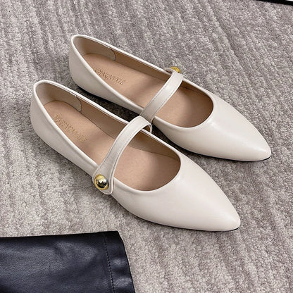 Women's Pointed Toe Flat Shoes With Velvet Matte Finish Single Shoes Women Comfort Loafers Shoes Leather Mary Jane Shoes