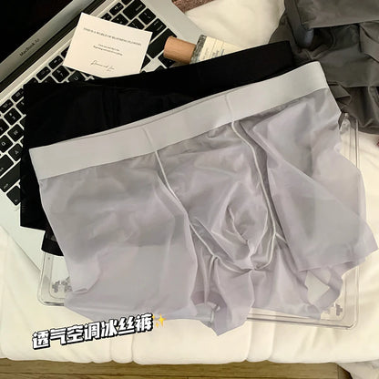 Ice Silk Men's Panties Quick Drying Ultra-thin Boxer Shorts Mid-rise Transparent Boxers Underwear U Bulge Pouch Sexy Underpants