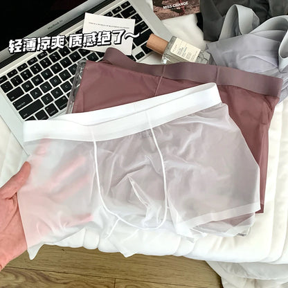 Ice Silk Men's Panties Quick Drying Ultra-thin Boxer Shorts Mid-rise Transparent Boxers Underwear U Bulge Pouch Sexy Underpants